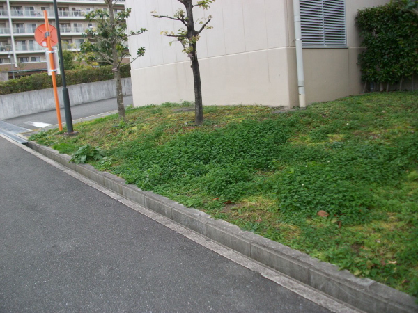 吹田市の植栽管理｜緑地帯の草刈