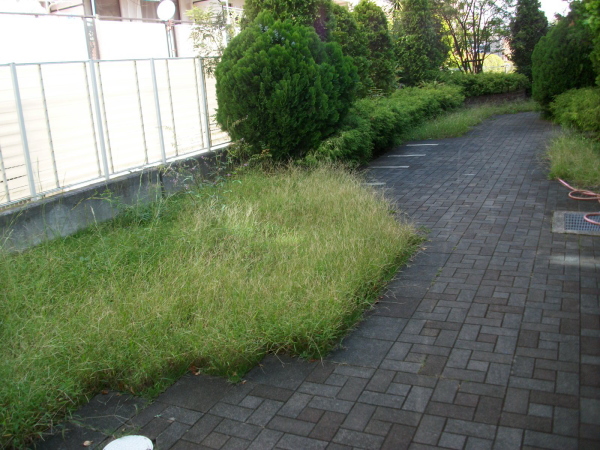 伊丹市の植栽管理｜緑地帯の草刈