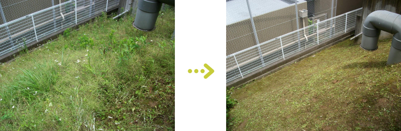 尼崎市の植栽管理｜緑地帯の草刈・除草施工例