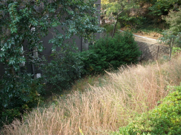 神戸市北区の植栽管理｜緑地帯の草刈