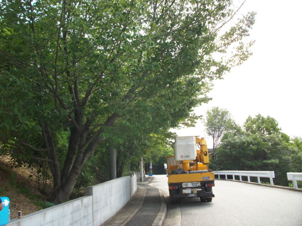 宝塚市の植栽管理｜強剪定