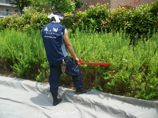 豊中市の植栽管理｜低木剪定