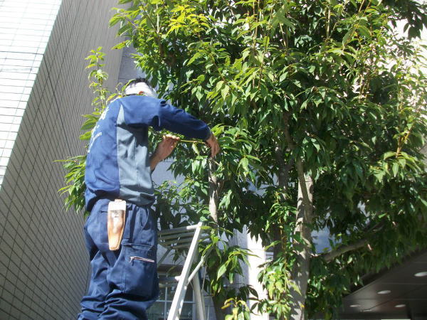 植栽管理の課題・お困り事別改善提案