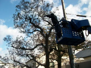 「再生と共生」