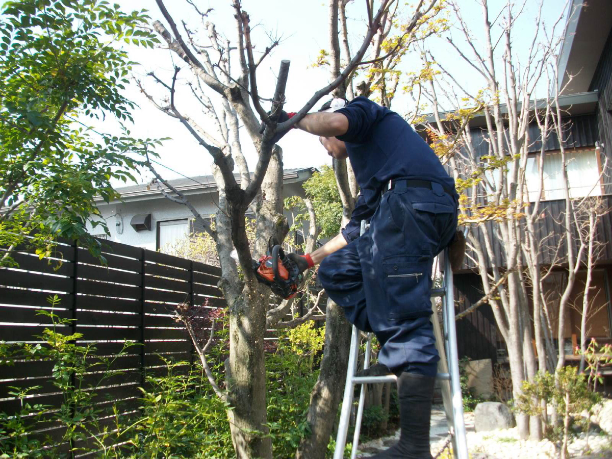 中長期計画による管理費用削減。不要樹木伐採