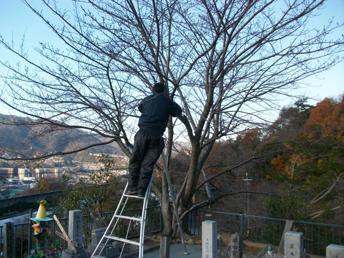 植栽管理の見積例・算出方法