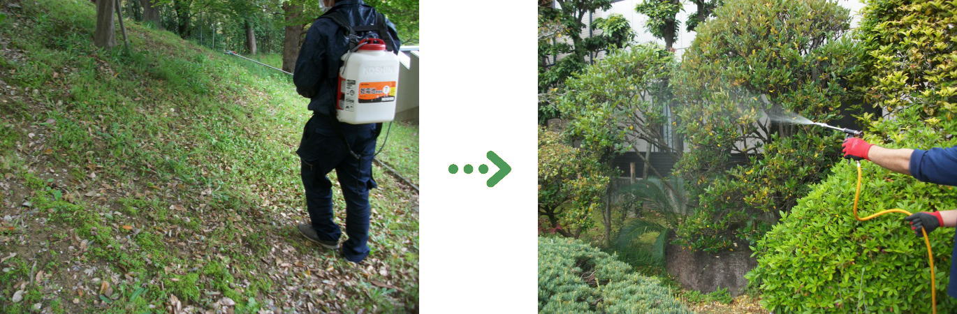 新着 今週の植栽管理施工事例